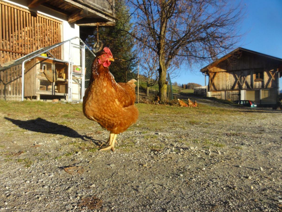 Mair Am Graben Farm * Chalets เตเรนโต ภายนอก รูปภาพ